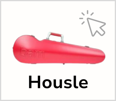 BAM pro housle