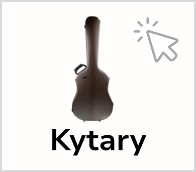 BAM pro kytary