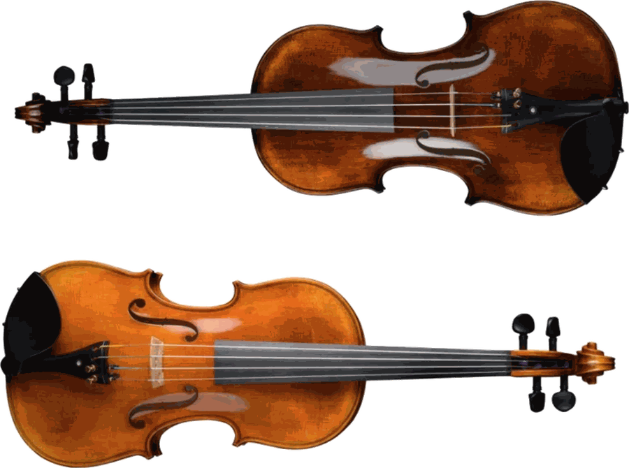 Housle Violin Schönbach – tmavá a světlá modelová řada